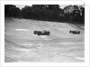 Two Riley 9 Brooklands racing on the banking at a JCC Members Day, Brooklands by Bill Brunell