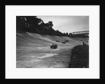 Cars racing on the Members Banking at a JCC Members Day, Brooklands by Bill Brunell