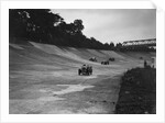 Cars racing on the Members Banking at a JCC Members Day, Brooklands by Bill Brunell