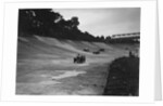 Cars racing on the Members Banking at a JCC Members Day, Brooklands by Bill Brunell
