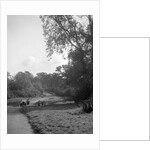 Car taking part in the Bugatti Owners Club car treasure hunt, 25 October 1931 by Bill Brunell