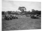 Austin 7 and two Singers taking part in the Bugatti Owners Club gymkhana, 5 July 1931 by Bill Brunell