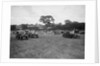 Austin 7 and two Singers taking part in the Bugatti Owners Club gymkhana, 5 July 1931 by Bill Brunell