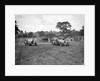 Bugatti Type 43 and 44 taking part in the Bugatti Owners Club gymkhana, 5 July 1931 by Bill Brunell