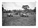 Bugatti Type 43 and 44 taking part in the Bugatti Owners Club gymkhana, 5 July 1931 by Bill Brunell