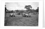 Bugatti Type 43 and 44 taking part in the Bugatti Owners Club gymkhana, 5 July 1931 by Bill Brunell