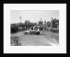 Bugatti Type 35, Bugatti Owners Club Hill Climb, Chalfont St Peter, Buckinghamshire, 1935 by Bill Brunell