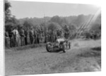 Bugatti Type 35, Bugatti Owners Club Hill Climb, Chalfont St Peter, Buckinghamshire, 1935 by Bill Brunell