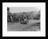 Bugatti Type 35, Bugatti Owners Club Hill Climb, Chalfont St Peter, Buckinghamshire, 1935 by Bill Brunell