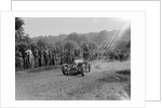 Bugatti Type 35, Bugatti Owners Club Hill Climb, Chalfont St Peter, Buckinghamshire, 1935 by Bill Brunell