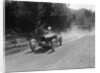 Bugatti Type 35, Bugatti Owners Club Hill Climb, Chalfont St Peter, Buckinghamshire, 1935 by Bill Brunell