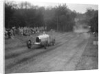 Bugatti Type 35, Bugatti Owners Club Hill Climb, Chalfont St Peter, Buckinghamshire, 1935 by Bill Brunell