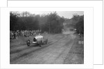Bugatti Type 35, Bugatti Owners Club Hill Climb, Chalfont St Peter, Buckinghamshire, 1935 by Bill Brunell