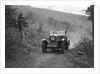 Wolseley Hornet of JM Suggs competing in the Inter-Varsity Trial, November 1931 by Bill Brunell