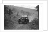 Wolseley Hornet of JM Suggs competing in the Inter-Varsity Trial, November 1931 by Bill Brunell