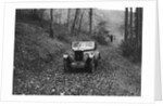 W Wright's Morris Minor with body by Arrow competing in the Inter-Varsity Trial, November 1931 by Bill Brunell