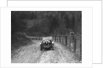 Viscount Curzon's MG M type 12/12 replica competing in the Inter-Varsity Trial, November 1931 by Bill Brunell