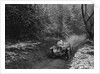 1934 Singer Le Mans taking part in a motoring trial, late 1930s by Bill Brunell