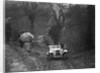 1938 HRG Standard Meadows-engined 2-seater of MH Lawson taking part in the Petersfield Trial, 1938 by Bill Brunell