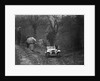1938 HRG Standard Meadows-engined 2-seater of MH Lawson taking part in the Petersfield Trial, 1938 by Bill Brunell
