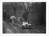 1938 HRG Standard Meadows-engined 2-seater of MH Lawson taking part in the Petersfield Trial, 1938 by Bill Brunell