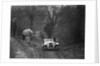1938 HRG Standard Meadows-engined 2-seater of MH Lawson taking part in the Petersfield Trial, 1938 by Bill Brunell
