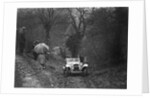 1938 HRG Standard Meadows-engined 2-seater of MH Lawson taking part in the Petersfield Trial, 1938 by Bill Brunell
