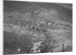 1938 Vauxhall Ten taking part in a motoring trial, late 1930s by Bill Brunell