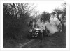 Riley of C Beddow at the Sunbac Colmore Trial, near Winchcombe, Gloucestershire, 1934 by Bill Brunell