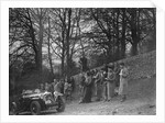 Wolseley Hornet of HK Crawford on Nailsworth Ladder, Sunbac Colmore Trial, Gloucestershire, 1934 by Bill Brunell