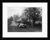 Austin Ulster of HG Conway at the Sunbac Colmore Trial, near Winchcombe, Gloucestershire, 1934 by Bill Brunell