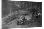 Wolseley Hornet of WAV Davis, B&HMC Brighton-Beer Trial, Fingle Bridge Hill, Devon, 1934 by Bill Brunell