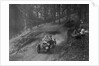 Wolseley Hornet of WAV Davis, B&HMC Brighton-Beer Trial, Fingle Bridge Hill, Devon, 1934 by Bill Brunell