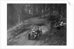 Wolseley Hornet of WAV Davis, B&HMC Brighton-Beer Trial, Fingle Bridge Hill, Devon, 1934 by Bill Brunell