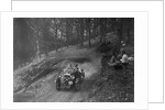 Wolseley Hornet of WAV Davis, B&HMC Brighton-Beer Trial, Fingle Bridge Hill, Devon, 1934 by Bill Brunell