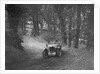 Cream Cracker Team MG PA of JM Toulmin, winner of the B&HMC Brighton-Beer Trial, 1934 by Bill Brunell