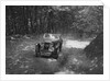MG J2 competing in the Brighton & Hove Motor Club Brighton-Beer Trial, 1934 by Bill Brunell