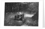 MG J2 competing in the Brighton & Hove Motor Club Brighton-Beer Trial, 1934 by Bill Brunell