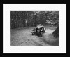 Frazer-Nash competing in the Brighton & Hove Motor Club Brighton-Beer Trial, 1934 by Bill Brunell