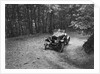 Frazer-Nash competing in the Brighton & Hove Motor Club Brighton-Beer Trial, 1934 by Bill Brunell