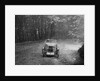 MG J2 competing in the B&HMC Brighton-Beer Trial, Fingle Bridge Hill, Devon, 1934 by Bill Brunell