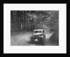Riley competing in the B&HMC Brighton-Beer Trial, Fingle Bridge Hill, Devon, 1934 by Bill Brunell