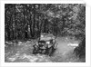 Windsor of CC Bliss competing in the B&HMC Brighton-Beer Trial, Fingle Bridge Hill, Devon, 1934 by Bill Brunell