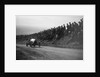 Bugatti Brescia competing in the Essex Motor Club Kop Hillclimb, Buckinghamshire, 1922 by Bill Brunell