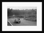 LG Johnson's Frazer-Nash BMW 328 leading two MG PBs, Imperial Trophy, Crystal Palace, 1939 by Bill Brunell