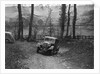 1934 Rover 10 at the Standard Car Owners Club Southern Counties Trial, 1938 by Bill Brunell