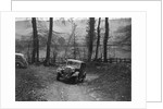 1934 Rover 10 at the Standard Car Owners Club Southern Counties Trial, 1938 by Bill Brunell
