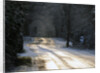 Sun glinting off an icy road in the New Forest 2009 by Unknown