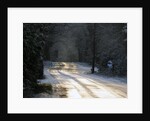 Sun glinting off an icy road in the New Forest 2009 by Unknown