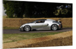 2009 Bugatti Veyron Pur Sang by Unknown